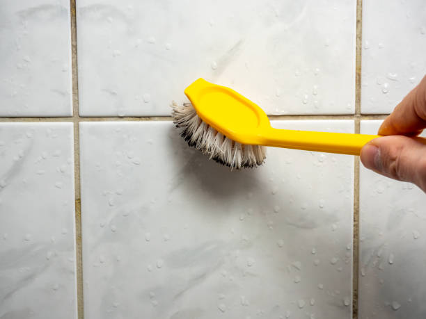 Best Best Mold Removal Companies  in Addis, LA