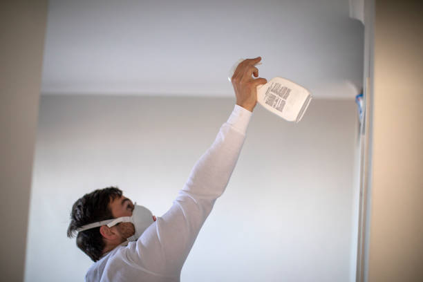 Best Best Mold Removal Companies  in Addis, LA