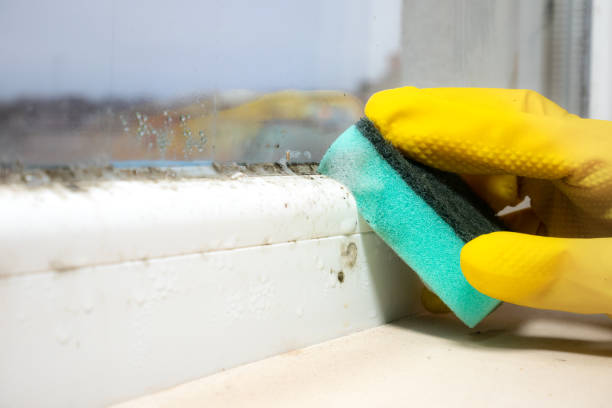Best Crawl Space Mold Removal  in Addis, LA