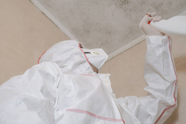 Best Residential Mold Removal  in Addis, LA