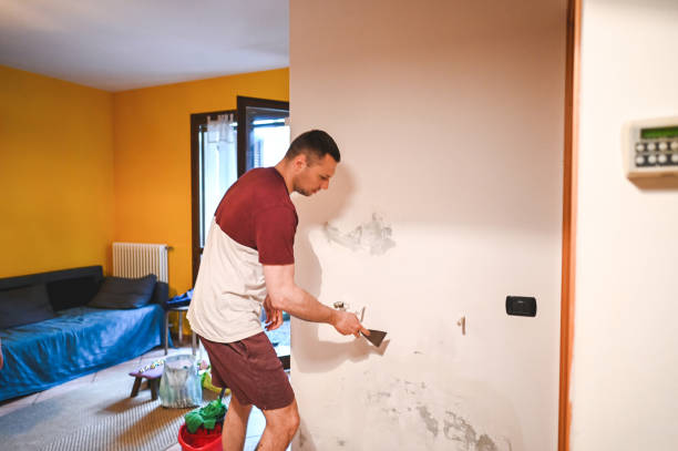 Best Mold Damage Repair  in Addis, LA