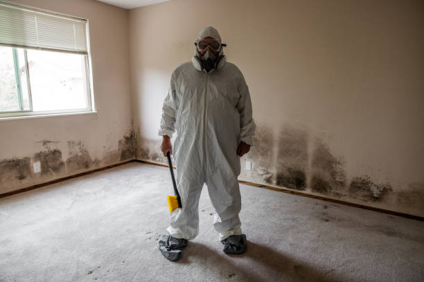 Mold Testing and Removal in Addis, LA